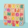 Montessori Wooden Puzzle 5