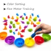 Montessori Color Sorting Game 2