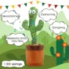 Dancing Talking Cactus 5