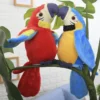 Talking Parrot 3